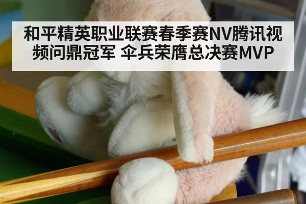 和平精英职业联赛春季赛NV腾讯视频问鼎冠军 伞兵荣膺总决赛MVP